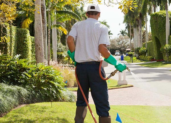 About Washington CT Pest Control